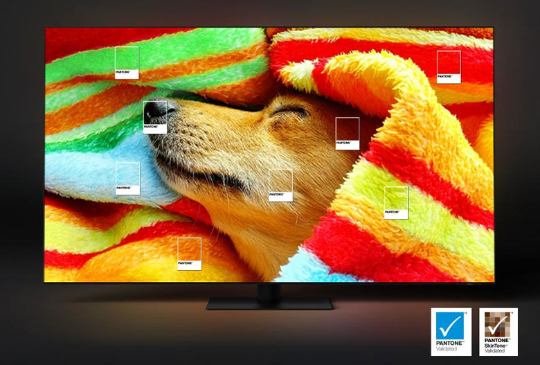 Tivi Samsung 8K - Bảo chứng màu sắc nguyên bản từ PANTONE