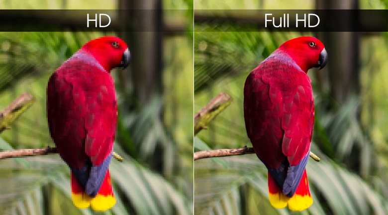 Sony KDL-43W660G - Độ phân giải Full HD sắc nét, hiển thị chi tiết gấp 2 lần HD