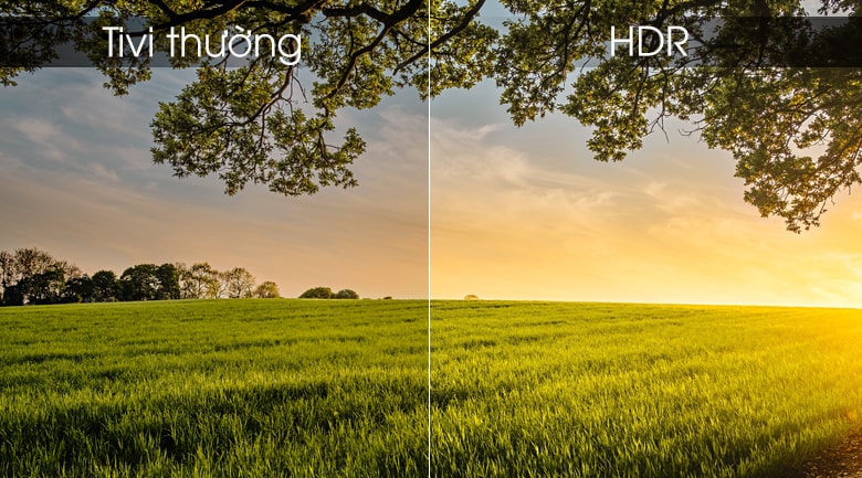 Công nghệ HDR tăng cường độ tương phản, mang đến những khung hình sáng rực, bắt mắt