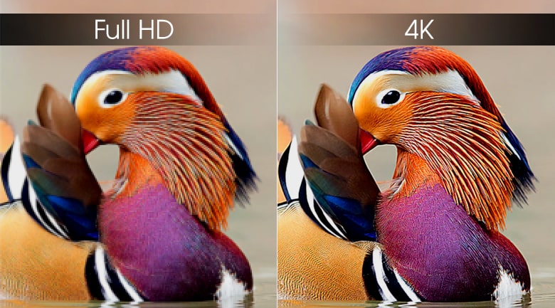 Độ phân giải 4K của tivi Samsung UA49RU8000 sắc nét gấp 4 lần Full HD