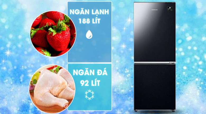Tủ lạnh Samsung 2020 - Dung tích 280 lít phù hợp cho gia từ từ 2 đến 3 thành viên