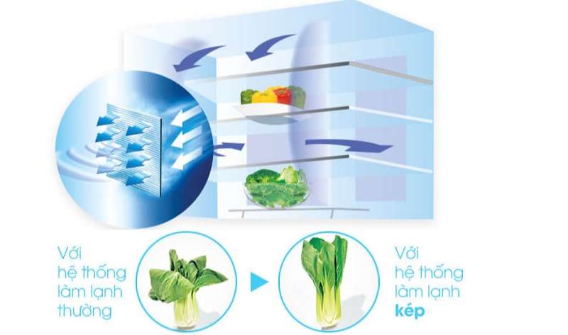 Tủ lạnh Sharp side by side - Hệ thống làm lạnh kép cho thực phẩm tươi ngon như