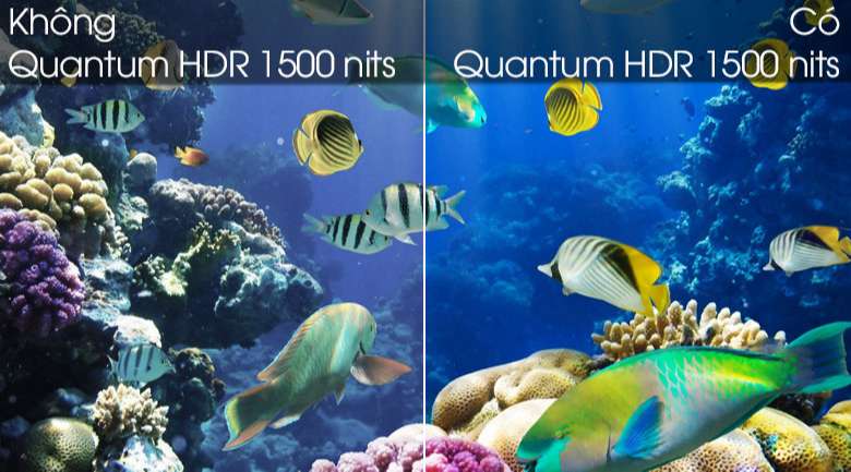 Tivi Samsung QLED 55 inch - Tăng cường độ tương phản vượt trội với công nghệ Quantum HDR 1500 nits