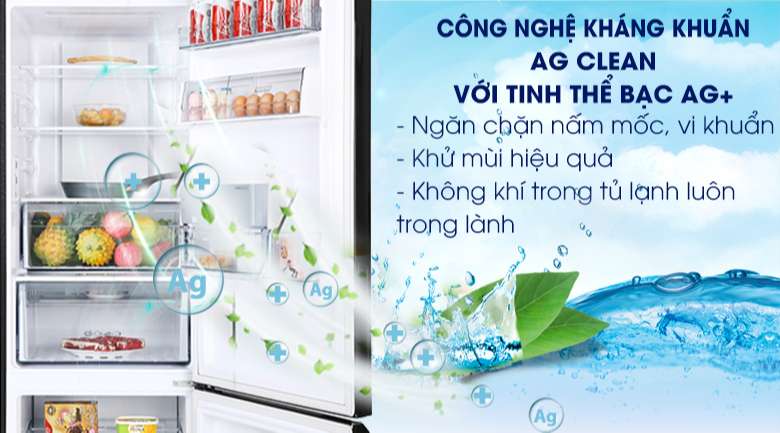 Tủ lạnh Panasonic lấy nước ngoài - Kháng khuẩn, khử mùi hiệu quả bằng công nghệ kháng khuẩn Ag Clean với tinh thể bạc Ag+