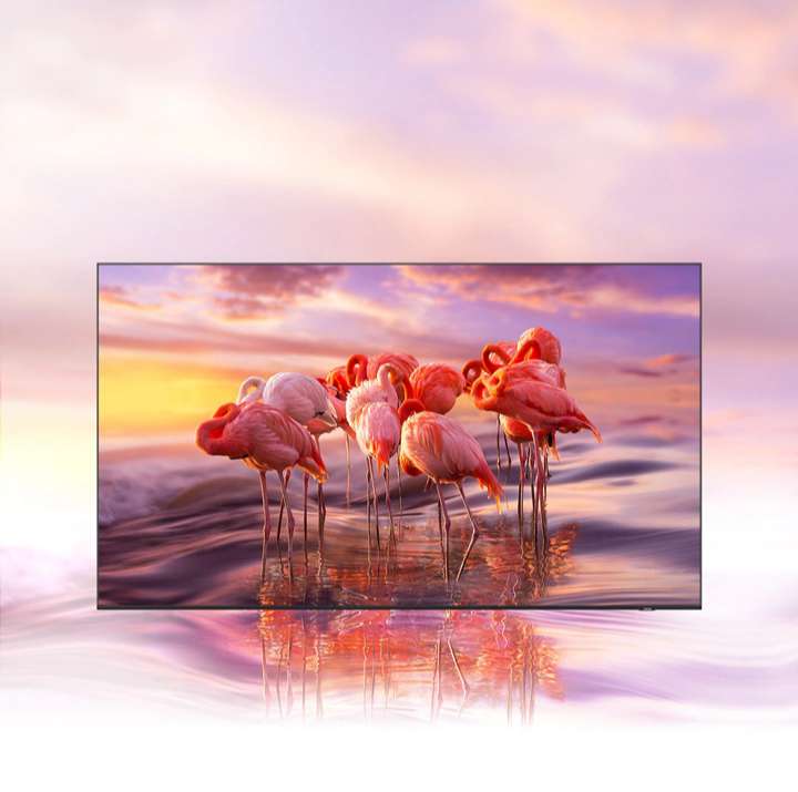 Tivi Samsung 55 inch 4K - Công Nghệ Quantum Dot Hiển Thị 100% Dải Sắc Màu