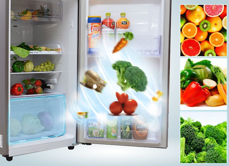 Tủ lạnh Samsung 234 lít - Ngăn rau củ lưu trữ hiệu quả