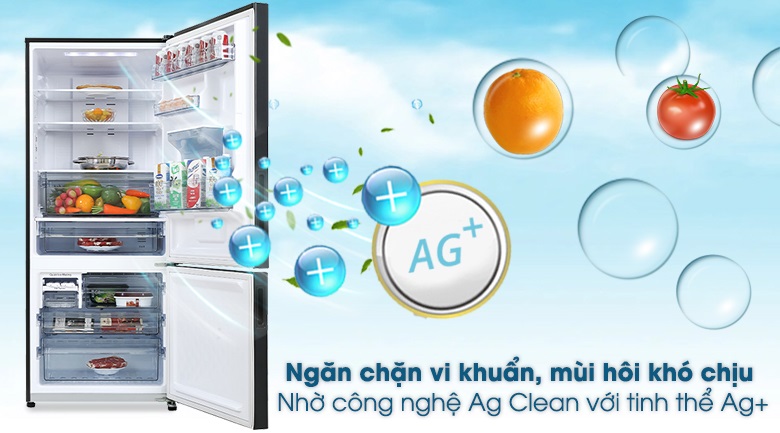 Tủ lạnh Panasonic - Ngăn chặn vi khuẩn, mùi hôi khó chịu với công nghệ Ag Clean với tinh thể Ag+