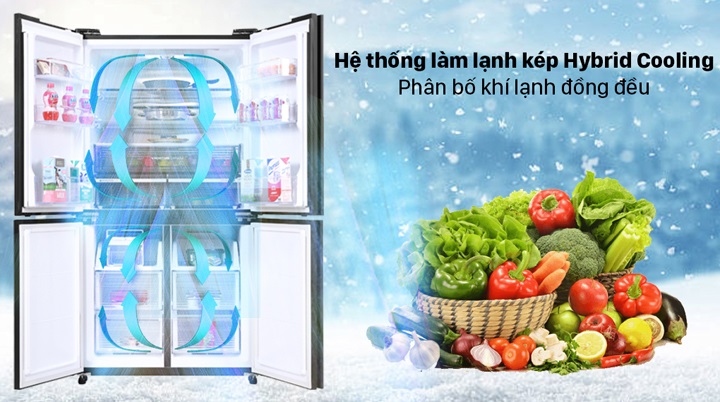 Tủ lạnh Sharp - Làm lạnh thực phẩm toàn diện, góp phần tiết kiệm điện năng với hệ thống Hybrid Cooling
